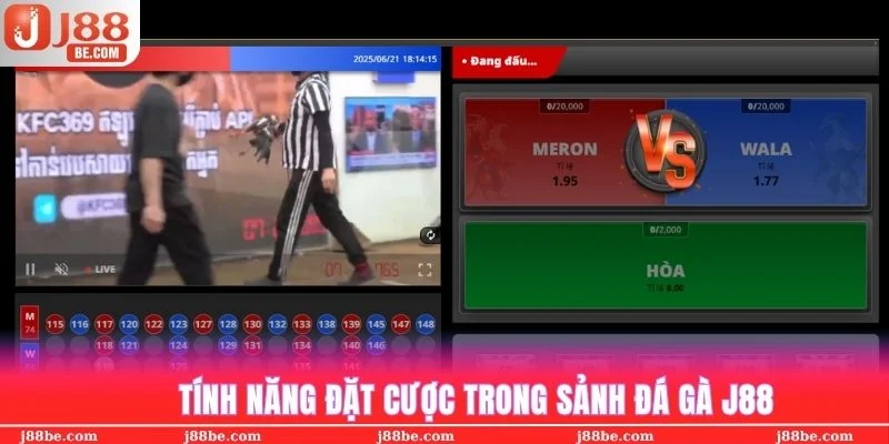 Nhận diện các tính năng trong sảnh cược đá gà