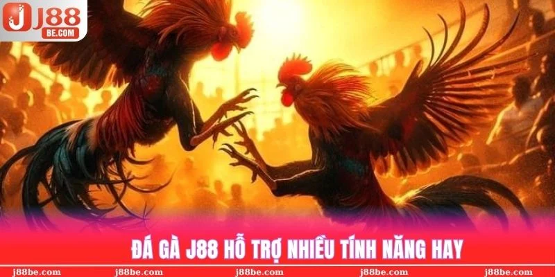 Nhiều tính năng mới đá gà J88 mang tới để khách hàng trải nghiệm tiện hơn