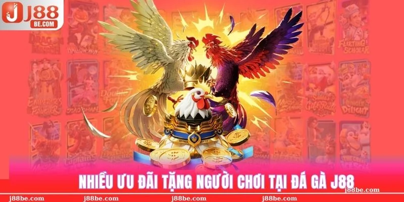 Nhiều ưu đãi áp dụng cho sảnh đá gà J88